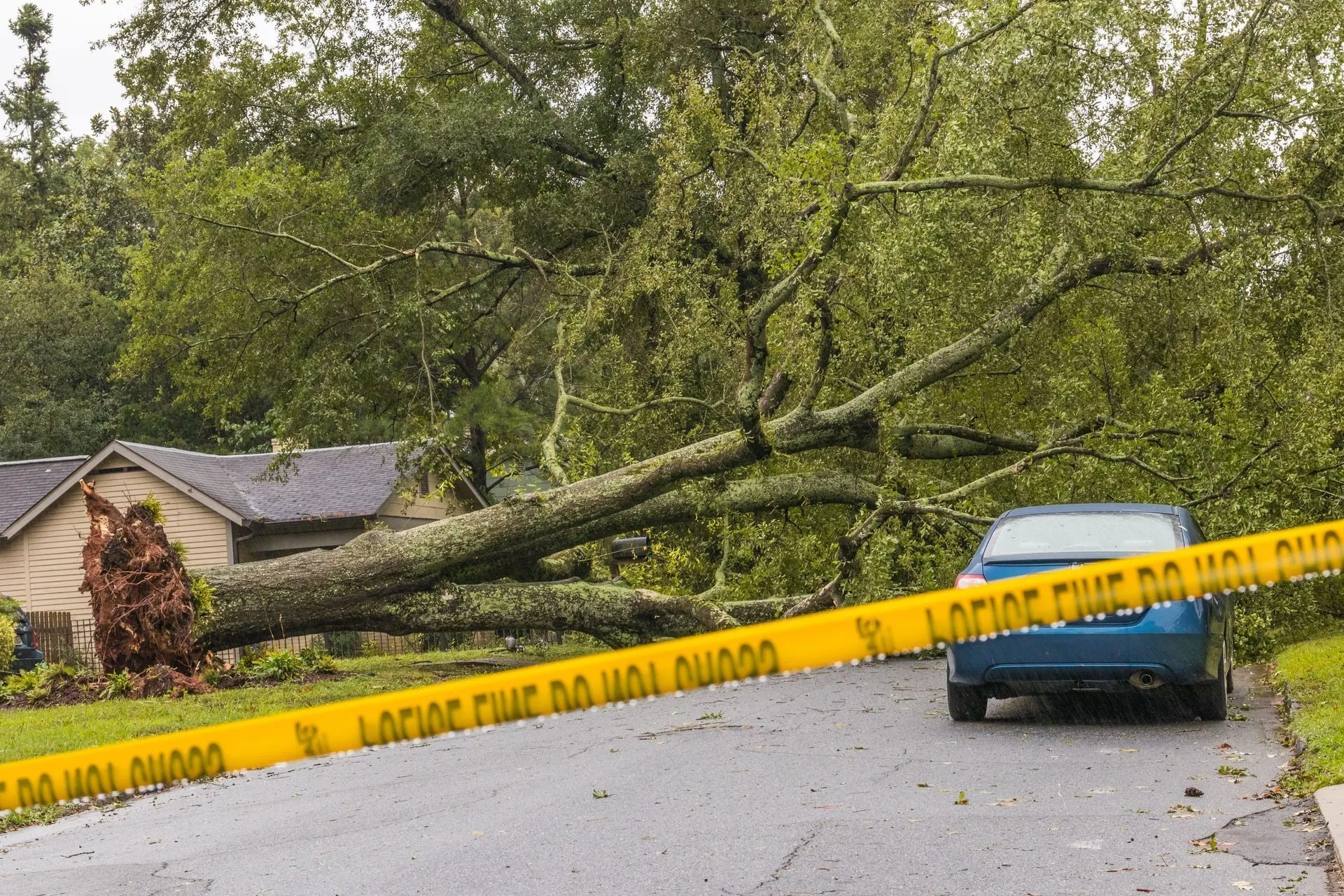 Fallen tree blocking a road next to a house. A car is parked nearby. Yellow caution tape is across the road.