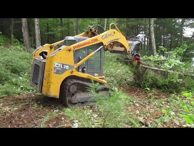 Yellow GEHL CTL 70 tracked skidsteer clearing brush and small trees on a wooded lot