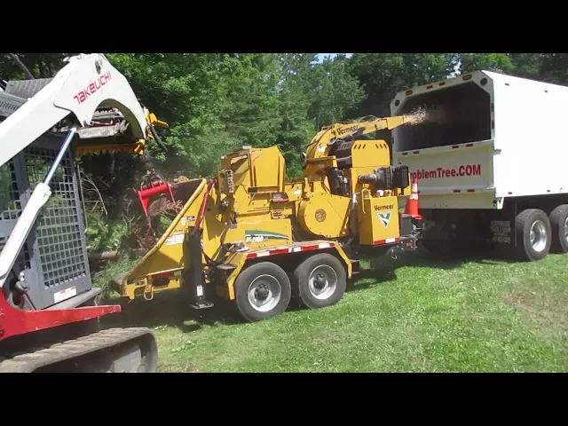 Skidsteer feeding branches into a Vermeer chipper discharging into a Problem Tree chip truck