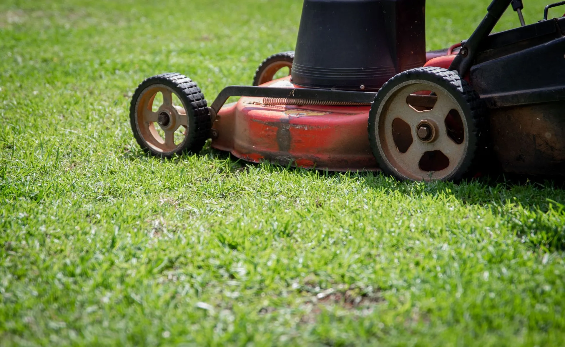 Red lawn mower on green grass, close-up of wheels and cutting deck